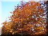 DSCN2186.JPG