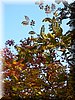 DSCN2189.jpg