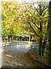 DSCN2194.jpg