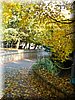 DSCN2195.jpg