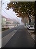 DSCN2205.jpg
