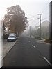 DSCN2206.jpg