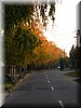 DSCN2235.jpg