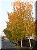 DSCN2236.jpg