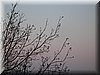 DSCN2281.JPG