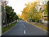 DSCN2311.JPG