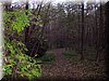 DSCN2329.jpg