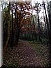 DSCN2330.jpg