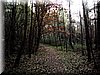 DSCN2331.jpg