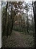 DSCN2332.jpg