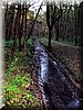 DSCN2333.jpg