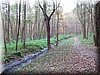 DSCN2337.JPG