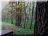 DSCN2338.jpg