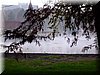 DSCN2352.jpg