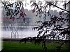 DSCN2353.jpg