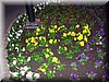 DSCN2381.JPG