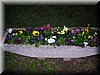 DSCN2382.JPG