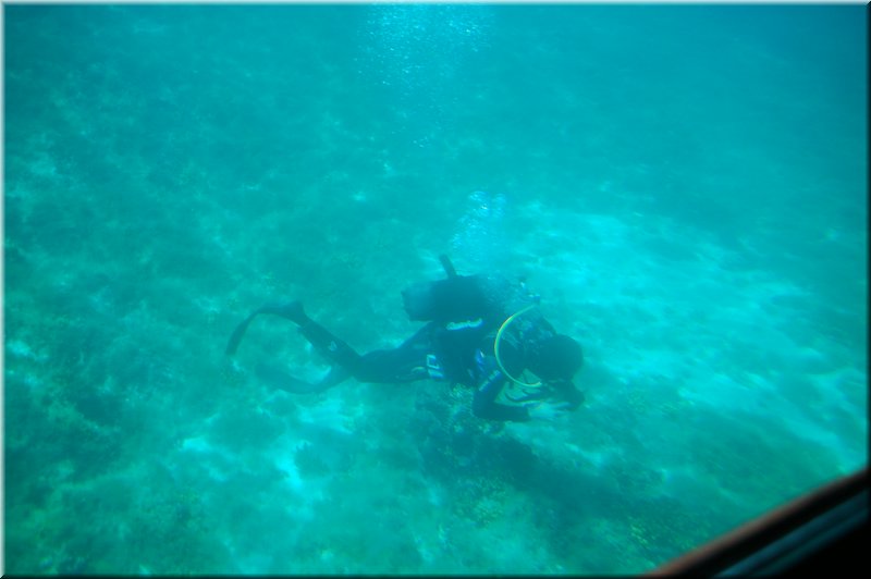 DSC_1869.JPG
